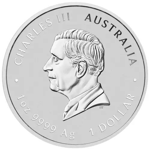 2025 1oz  Australian Perth Mint silver Lunar Series III: Year of the Snake (2)