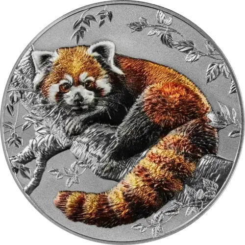 2025 2 oz Niue Island - Red Panda Silver Coin (3)