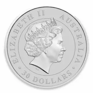 2013 1kg Australian Perth Mint Silver Koala (2)